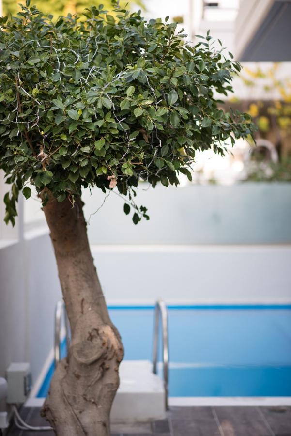 Palmyra Athens Villa ภายนอก รูปภาพ